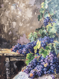 Impression de vigne