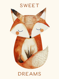 Imprimé renard « Sweet Dreams »