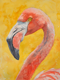 Portrait de flamant rose imprimé