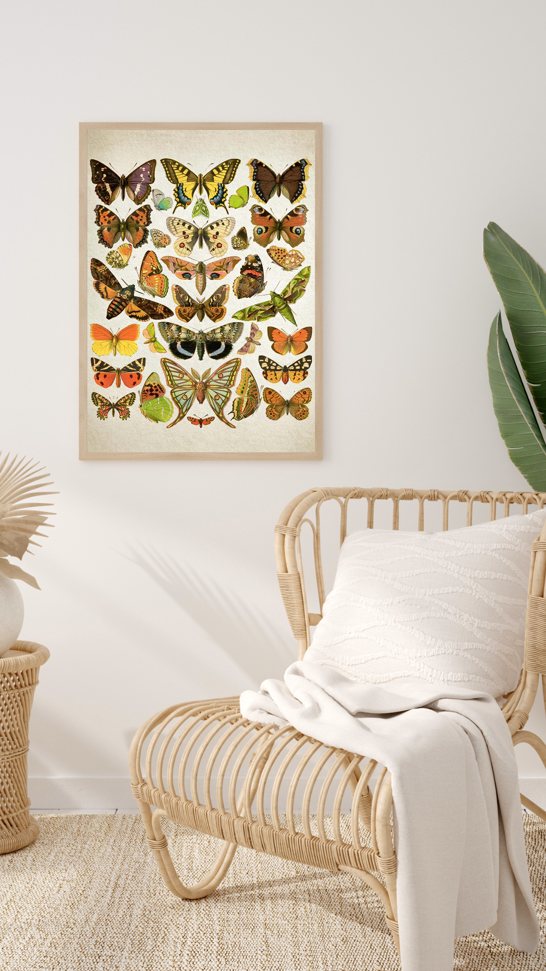 Illustration botanique de papillon