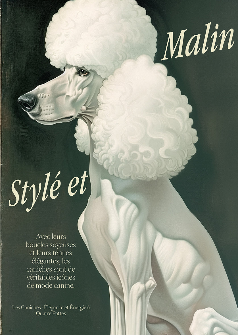 Elegant White Poodle Vintage French Style Print