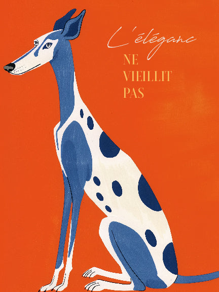 Imprimé chien élégant