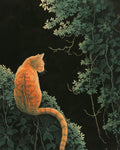 Impression de chat merveilleux