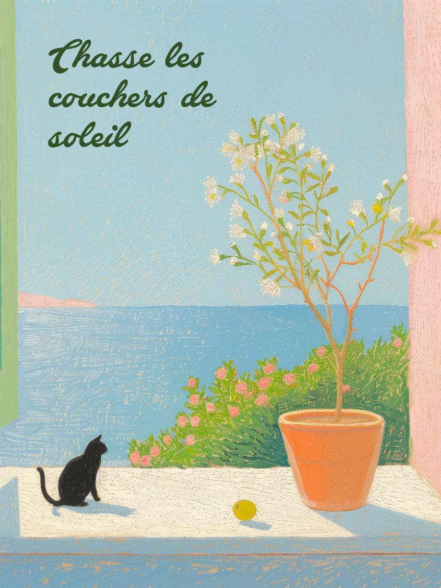 À la poursuite du soleil en français