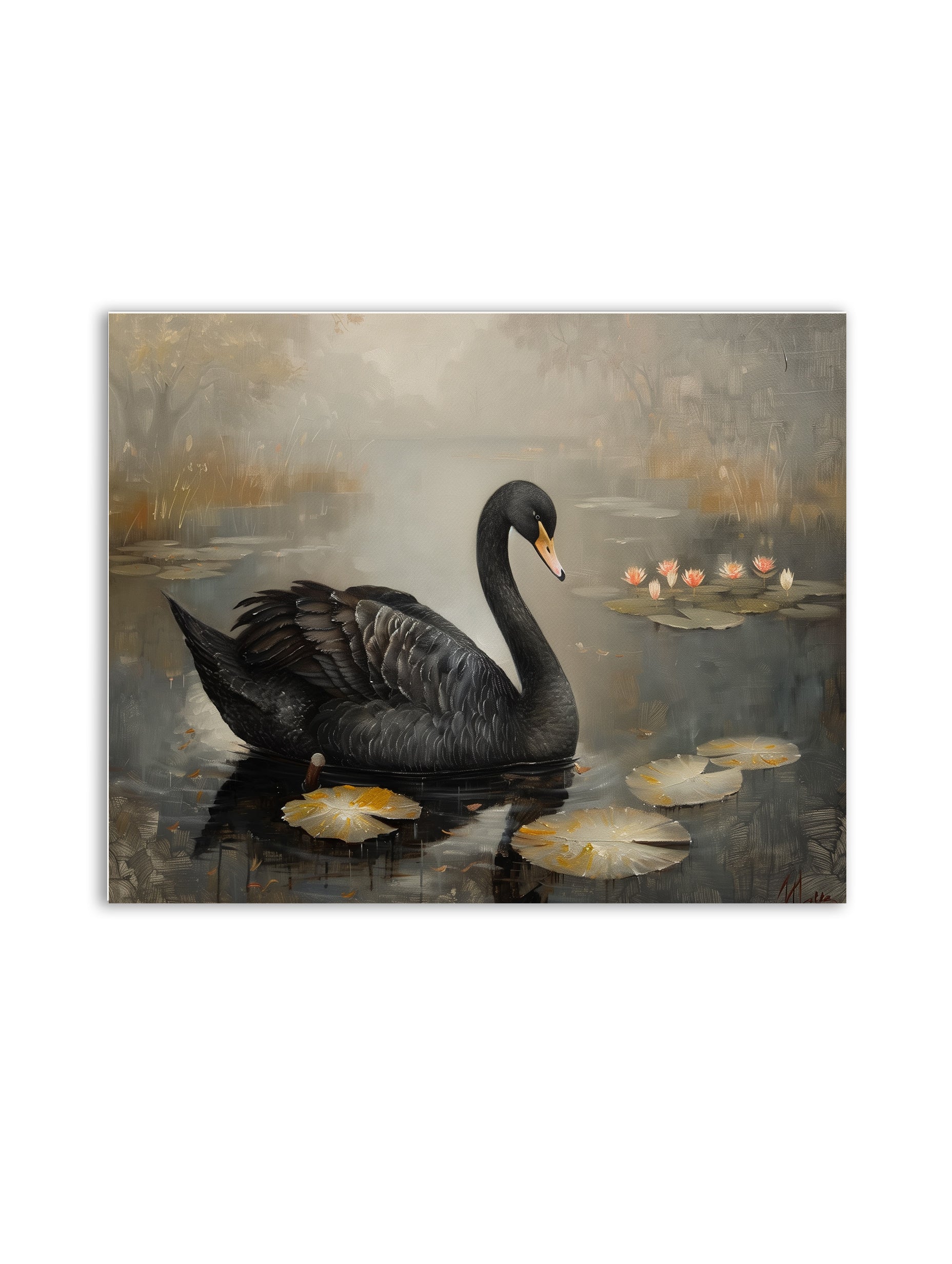 Black Swan Print