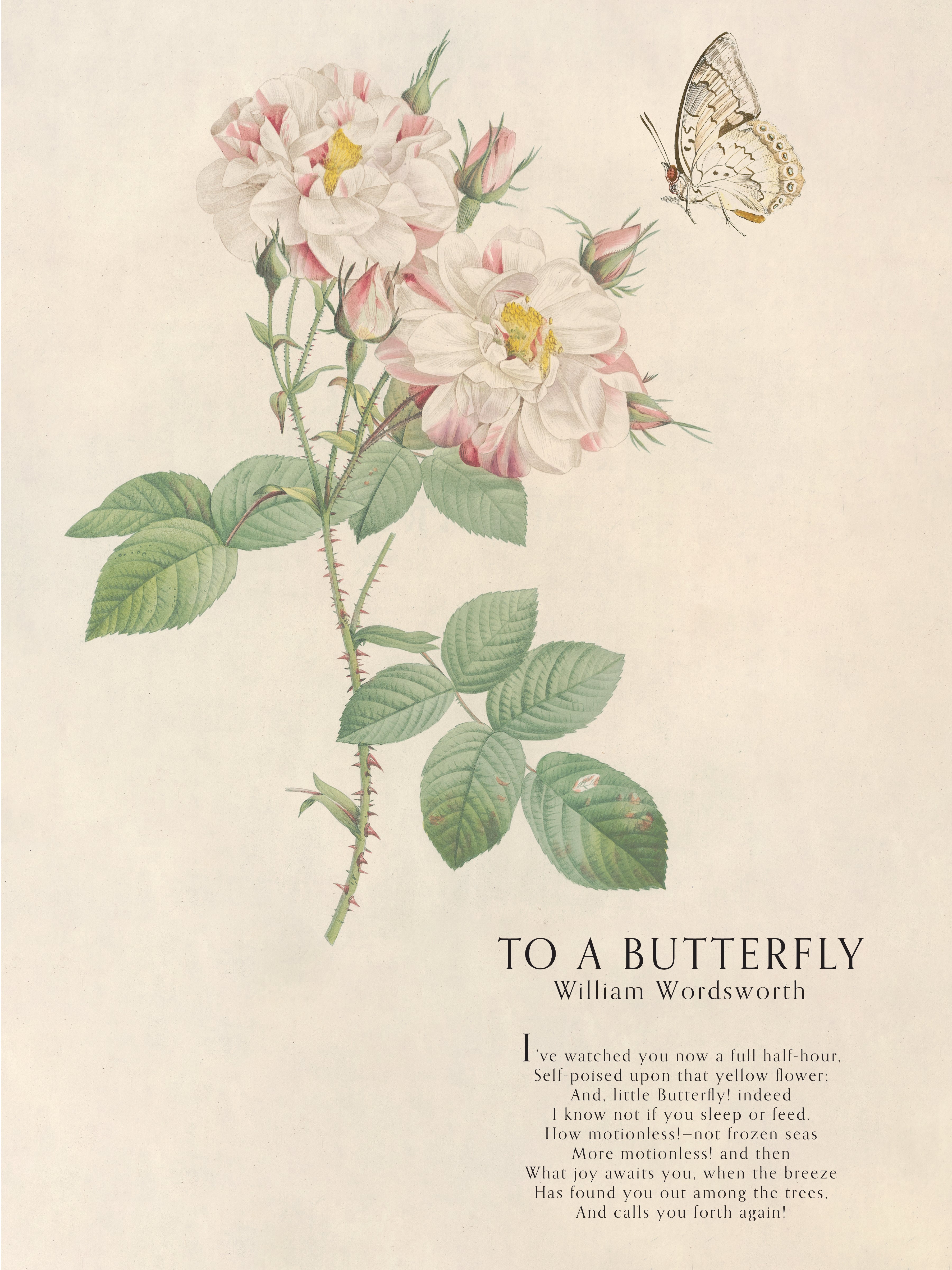Imprimé papillon et roses