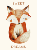 Sweet Dreams Fox Print