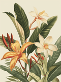 Botanical Lily Print