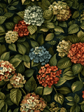 Botanical Hydrangeas Print