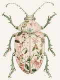 Beetle Botanical Print