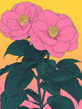 Pink Camellias Print