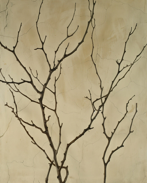 Bare Branches Print