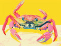 Vibrant Crab Print