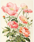 Floral Roses Vintage Print