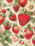 Strawberry Fields Print