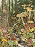 Forest Floor Mushrooms Print