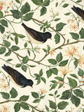 Bird and Floral Pattern Print