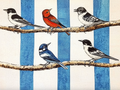 Songbirds Print