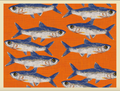 School of Fish Print