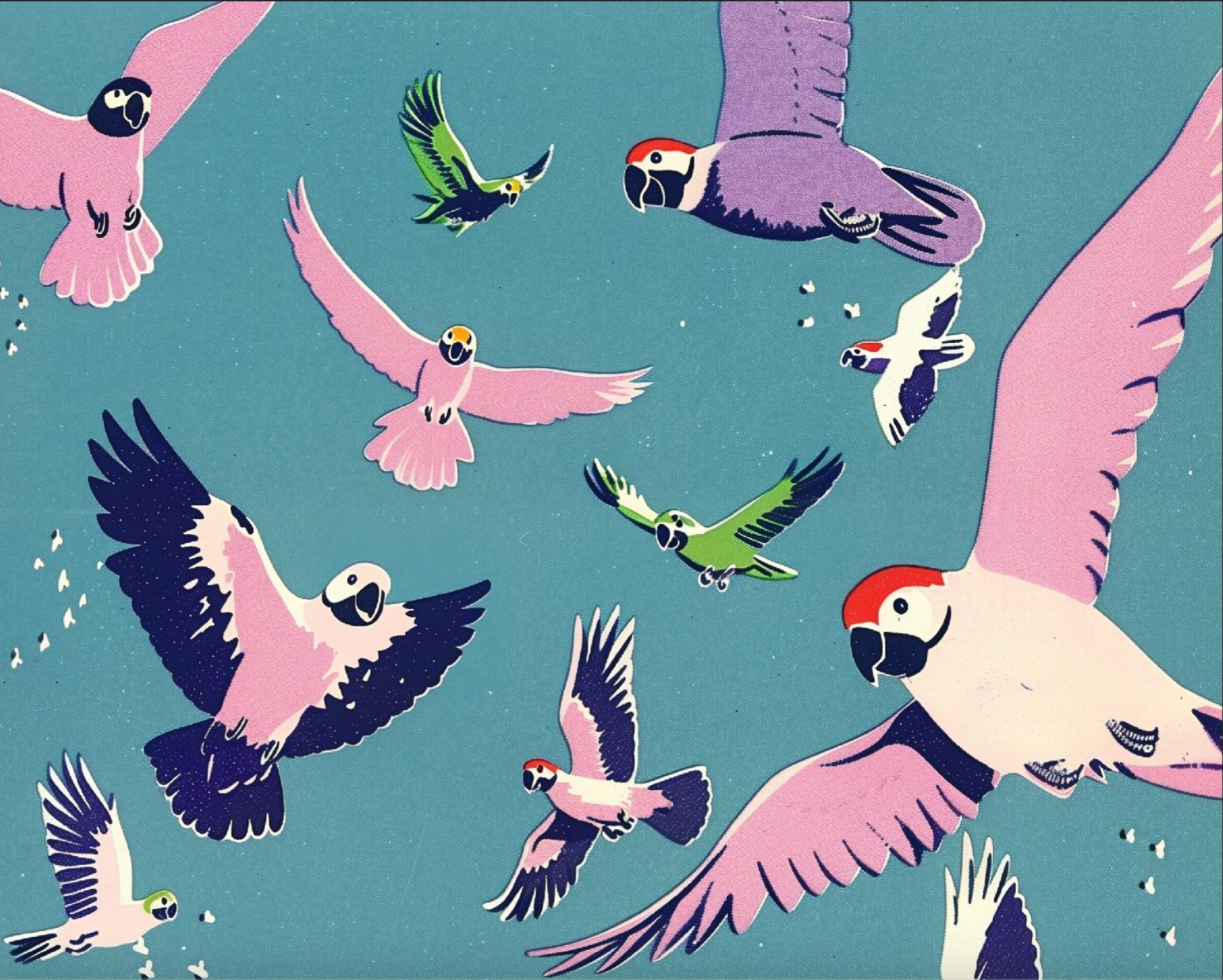 Pink Birds Print